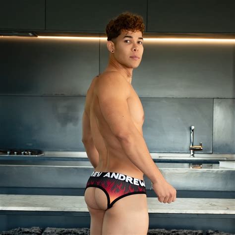 Andrew Christianアンドリュークリスチャン Flames w ALMOST NAKED メッシュ ジョックストラップ メンズランウェイ