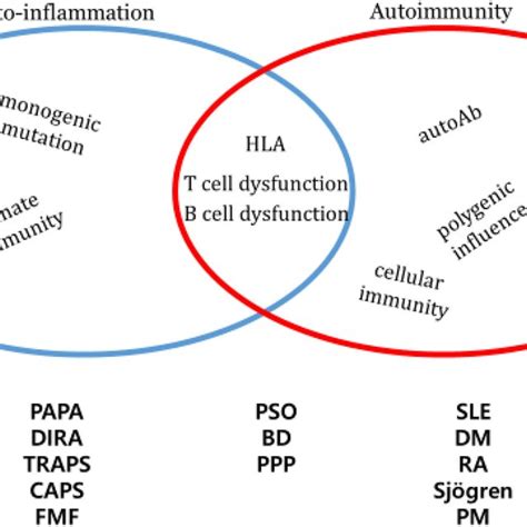 Features of autoinflammation and autoimmunity. HLA, human leukocyte ...