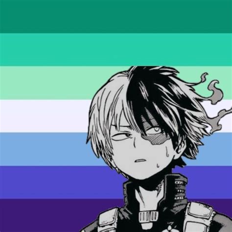 𝘐𝘤𝘰𝘯 𝘛𝘰𝘥𝘰𝘳𝘰𝘬𝘪 ᴘʀɪᴅᴇ 𝘓𝘎𝘉𝘛𝘘 Perfil Anime Fotos De Bandeiras Lgbt