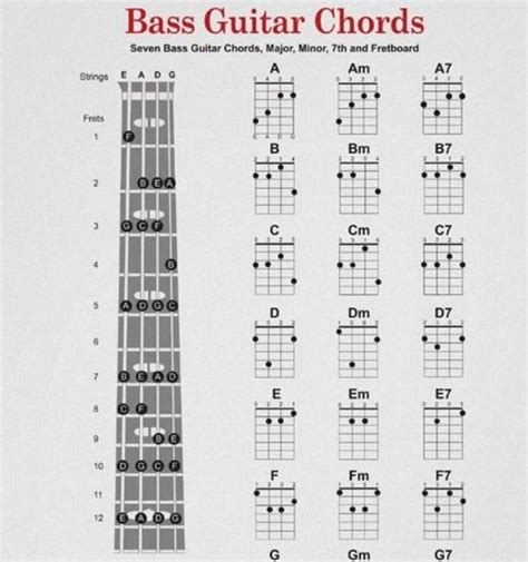 Bass Guitar Chords For Android Apk Download