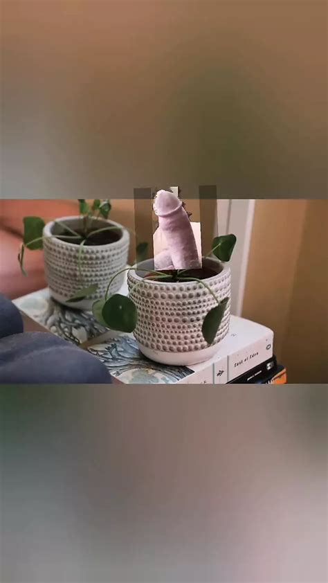 Different Flower Pots Gay Amateur Amateur Porn Feat Colaparada XHamster