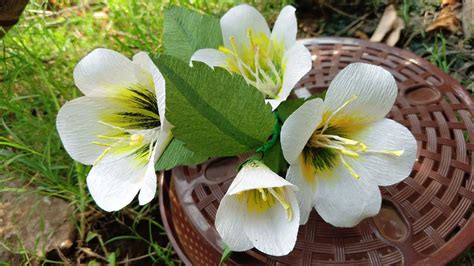 How To Make Turnera Ulmifolia Paper Flower Crepe Paper Flower