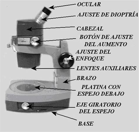 Biología II PRÁCTICA 2 Manejo y uso del microscopio