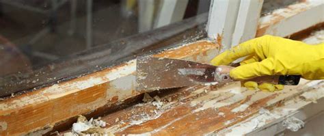 how to get rid of lead based paint