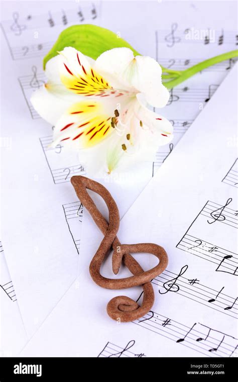 Treble Clef And Flower On Musical Background Stock Photo Alamy