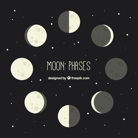 Download Vector - Illustrated moon phases - Vectorpicker