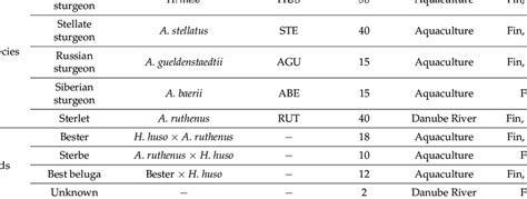 List of sturgeon (Acipenseridae family) species included in the study ...