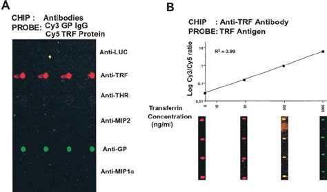 Detection of proteins in a complex mixture using an antibody biochip ... 