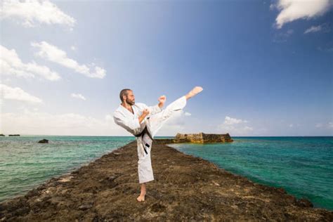 120+ Okinawa Karate Stock Photos, Pictures & Royalty-Free Images - iStock