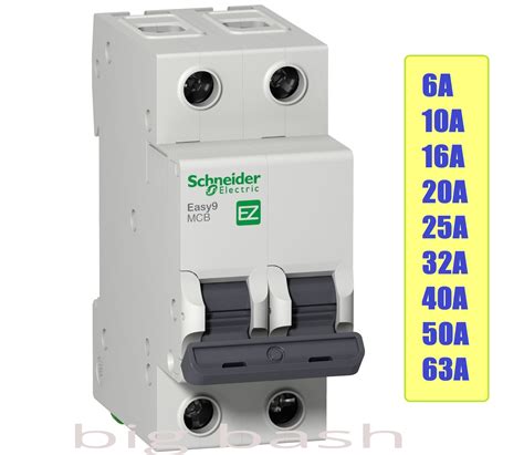 Schneider Easy9 IEC 2P 32A C DIN Rail Type Miniature Circuit Breaker