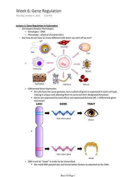 Bios 110 Week 6 Pt 2 Bios 110 Cells And Organism Notes Lecture 1