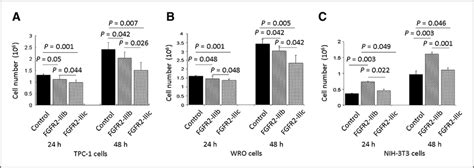 Fgfr2 Iiib And Fgfr2 Iiic Independently Inhibit Thyroid Cancer Cell