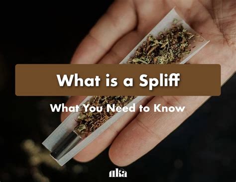 What is a Spliff: What You Need to Know