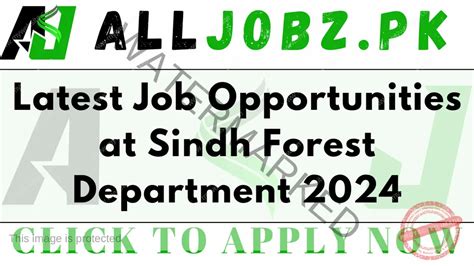 Latest Job Opportunities At Sindh Forest Department