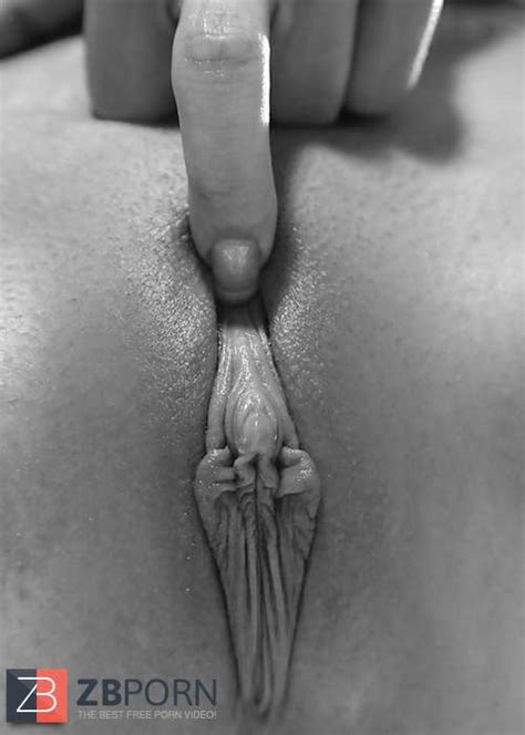 LINDAS CONAS ZB Porn