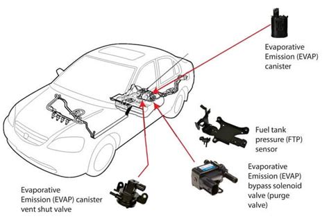 3100 Canister Purge Valve Location Diagram Valve Purge Canis