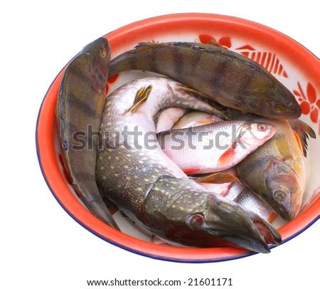 Edible fish Images - Search Images on Everypixel