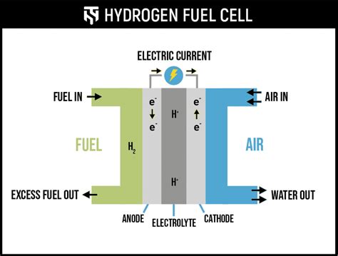 Electrolyzer And Hydrogen Fuel Cell Safety Totalshield Off