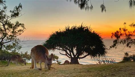 What To Do On North Stradbroke Island Weekender