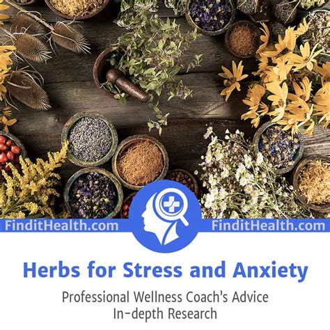 Herbs For Stress And Anxiety Health Coachs Advice