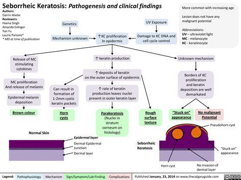 Seborrheic Keratosis: Pathogenesis and clinical findings | Calgary Guide