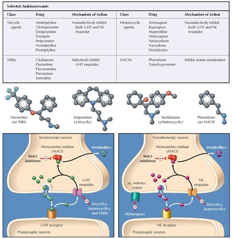 Antidepressants Mechanisms Of Action Pediagenosis