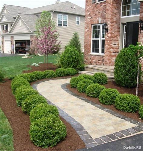 Хвойники вдоль дорожки (47 фото) » НА ДАЧЕ ФОТО