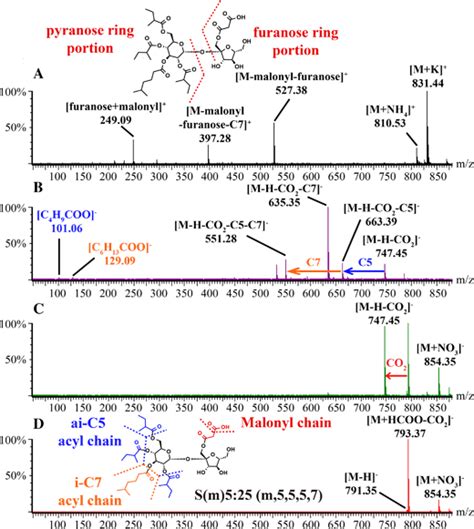 Multiplexed Cid Mass Spectra Of S M Rt Min From P