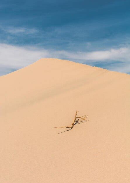 Dunas De Arena En El Desierto Contra El Cielo Foto Premium