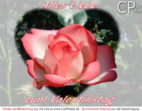 Coolphotos De Valentinstag Alles Liebe Zum Valentinstag