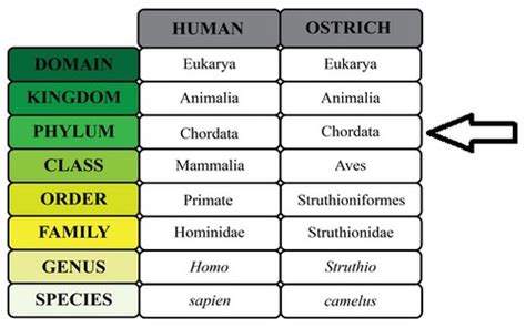 CH20 Study Guide Flashcards Quizlet