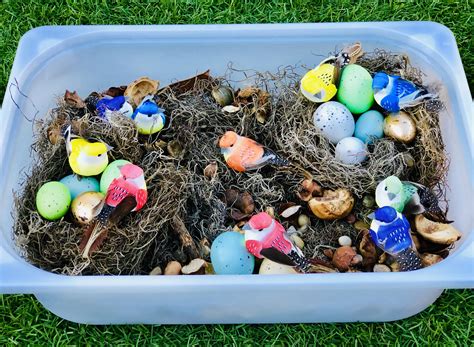 Bird Nest Sensory Bin Sensory Bins Sensory Play Bird