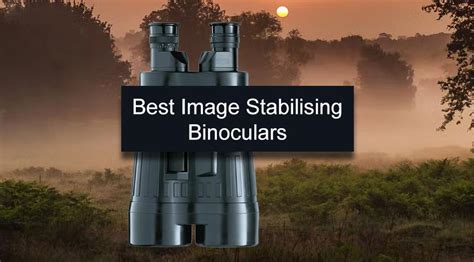 Are These The Best Image Stabilising Binoculars In UK? (2025 ...