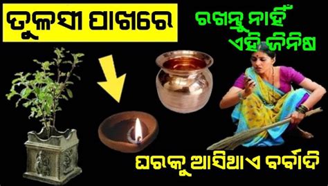 ତୁଳସୀ ଗଛ ପାଖରେ କେବେ ବି ରଖନ୍ତୁ ନାହିଁ ଏହି ୫ ଟି ଜିନିଷଏମିତି କଲେ ଘରକୁ ମାଡି