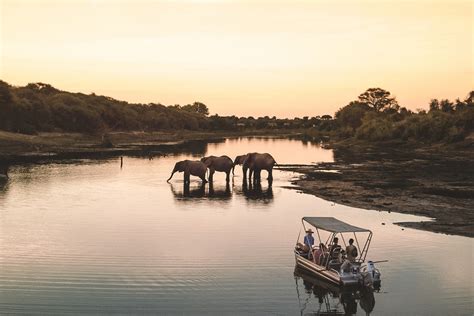 The Top Safari Destinations In Africa • The Blonde Abroad