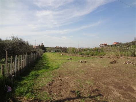 Terreno Agricolo Via Dell Acqua Acetosa Ciampino Rif