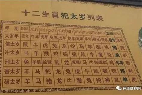 2024年犯冲太岁怎么化解：八字命理专家解析与应对策略？风水若朴堂文化