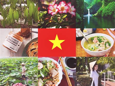 Aph Vietnam — Aph Girls Headcanons Vietnam Aesthetic 🐗🇻🇳🌱