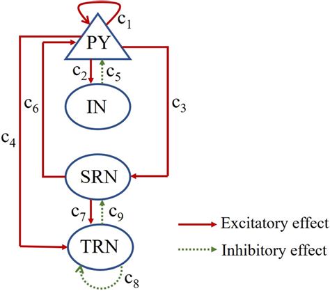 Schematic Diagram Of The Thalamocortical Model The Cortical Subsystem Download Scientific