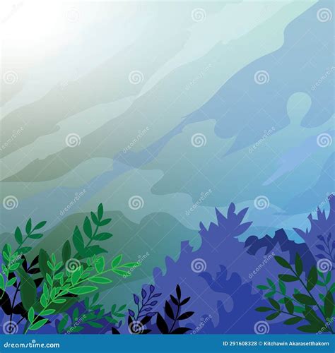 marin color service 8