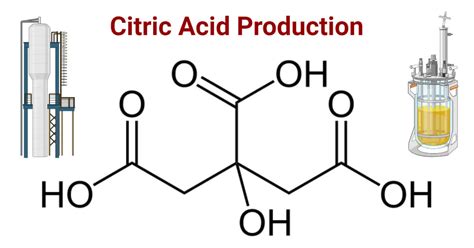 Citric Acid Production Microbes Methods Steps Factors