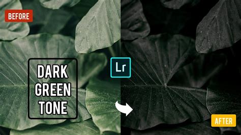 How To Edit Photos Dark Green Tone Using Lightroom Moody Dark Green