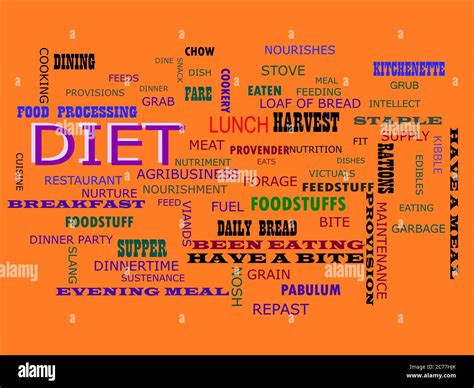 Dieta Una Terminología Nutricional Del Cuerpo Humano Presentada Con