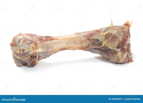 Meat Bone Stock Image - Image: 22856481