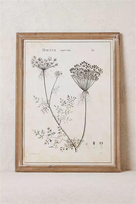 Botanical Wall Art | Anthropologie UK