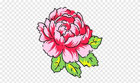 Floral Design Moutan Peony Illustration Peony Herbaceous Plant