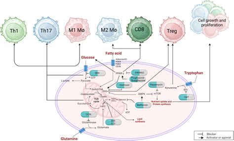 Frontiers Controlling Viral Inflammatory Lesions By 50 Off