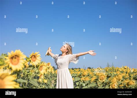 Beauty Sunlit Woman On Yellow Sunflower Field Freedom And Happiness