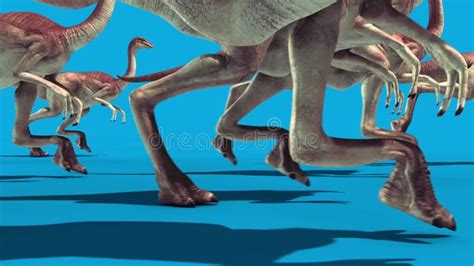 Trex Skeleton Walk Static Side Jurassic World D Rendering Green Screen