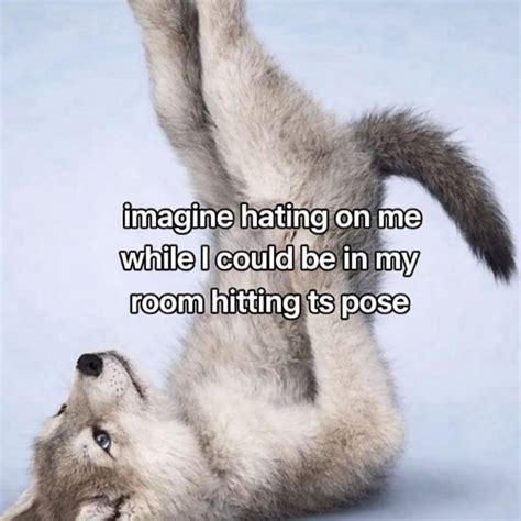 20 Memes That Are Loud Confusing And Weirdly Confident Funny